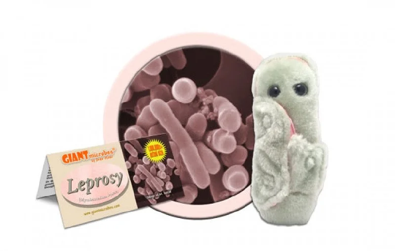 Fluffy and warm toy companionsLeprosy (Mycobacterium leprae) - GIANTmicrobes® Plush Toy Fluffy and warm toy companionsLeprosy (Mycobacterium leprae) - GIANTmicrobes® Plush Toy