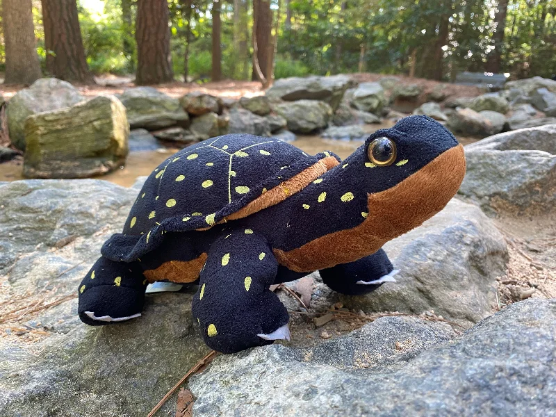 Soft and cuddly stuffed animalsSpotted Turtle