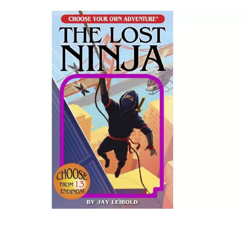 Thought-provoking children's literature Thought-provoking children's literature CHOOSE YOUR OWN ADVENTURE BOOK - THE LOST NINJA
