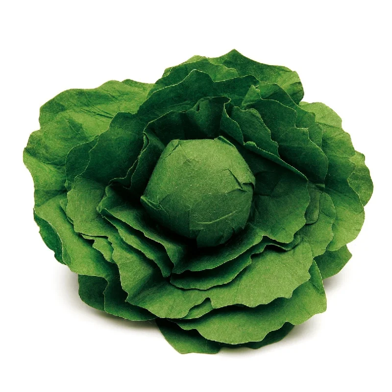 naturally finished and non-toxic wooden toys                   Erzi lettuce