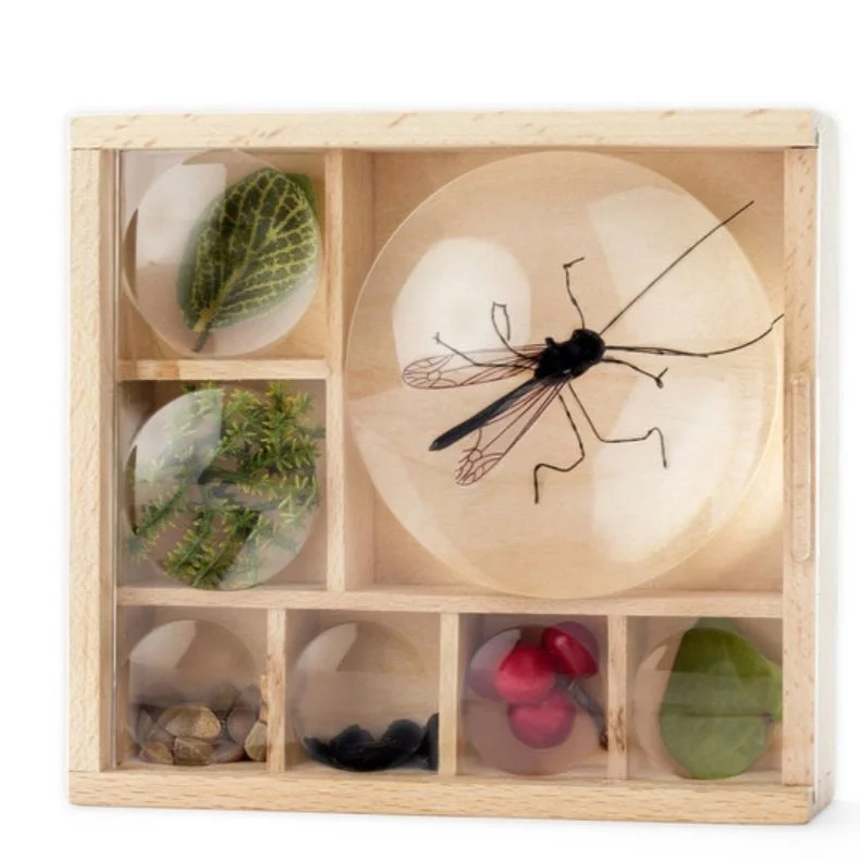 functional wooden toys               Huckleberry Bug Box