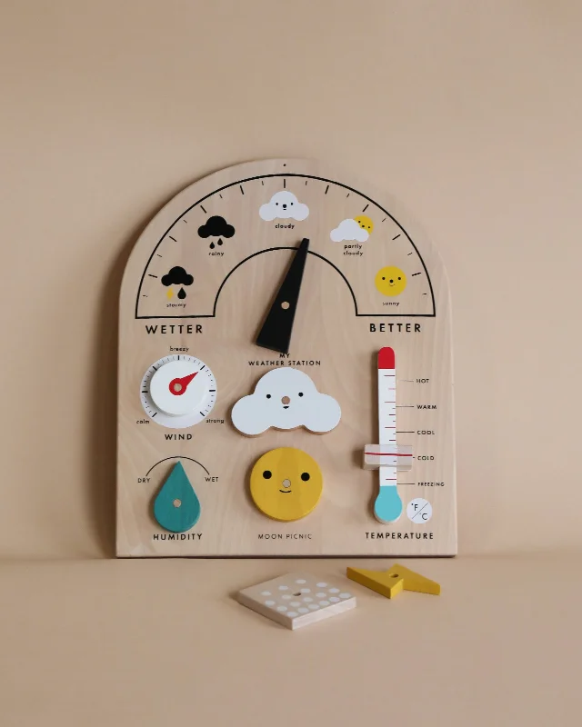 detailed wooden toys                 Weather Station