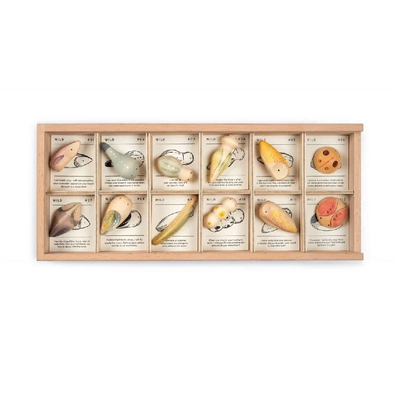 handcrafted wooden toys                  Wild: Exploration Play Set and Sorting Tray
