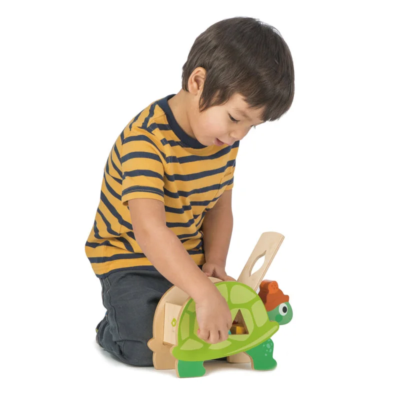 eco-friendly wooden toys made from sustainable materials                   Wooden Tortoise Shape Sorter with Shapes