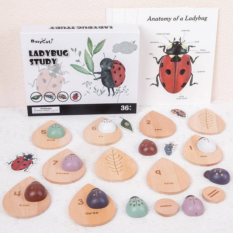 enchanting and whimsical wooden toys for children Montessori inspired wooden lady bug educational counting toy enchanting and whimsical wooden toys for children Montessori inspired wooden lady bug educational counting toy