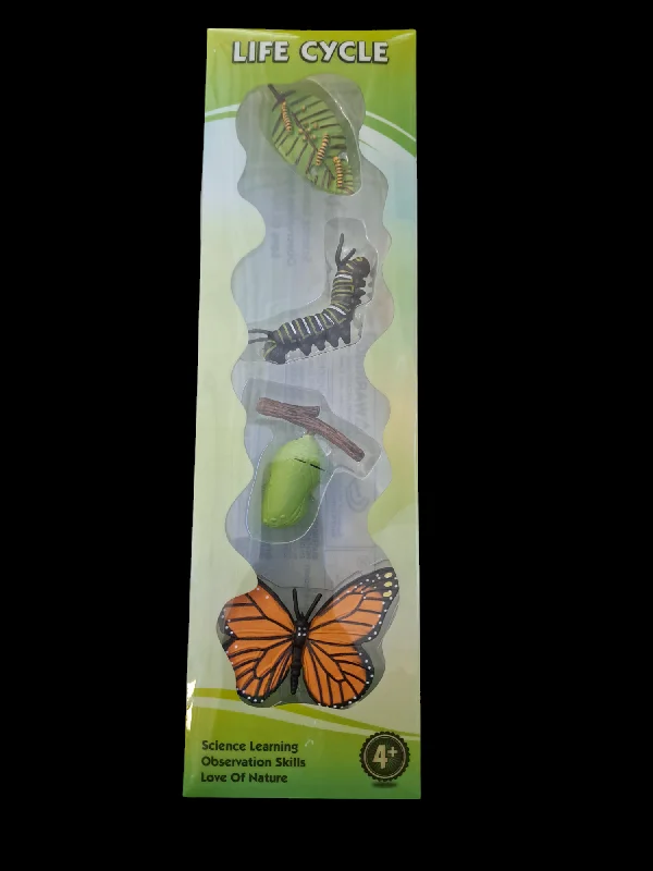 Thought-provoking puzzles (Copy) Life Cycle of a Butterfly