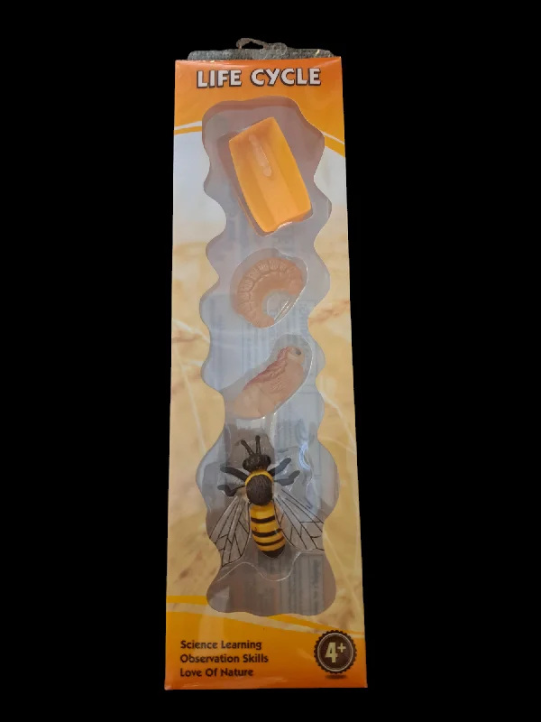 Multi-level puzzles Life Cycle of a Bee