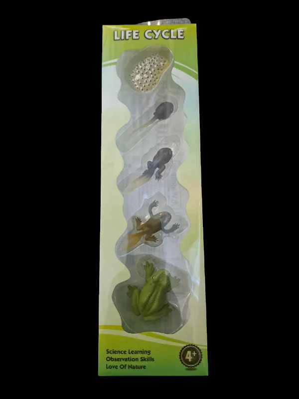 Challenging puzzles Life Cycle of a Frog