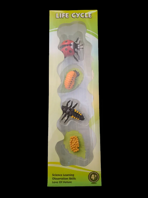 Exciting gamesLife Cycle of a Lady Bug